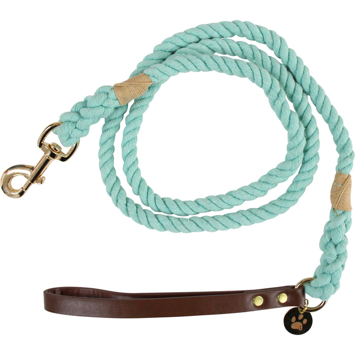 Dog Lead