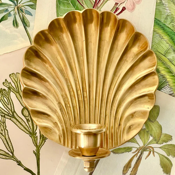 Exotico Shell Wall Sconce