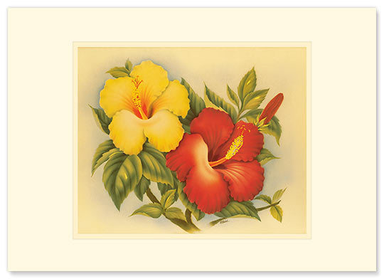 Hawaiian Hibiscus Greeting Card