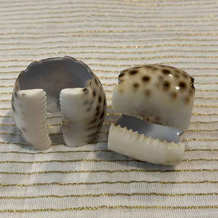 Set of 2 Engraved Cowrie Napkin Rings