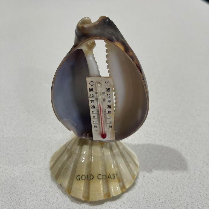 Shell Thermometer - Gold Coast - styled shot | Travel & Tide