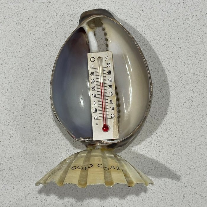 Shell Thermometer - Gold Coast | coastal lifestyle Australia | Travel & Tide