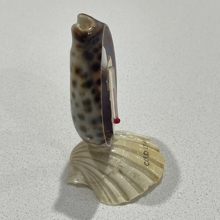 Shell Thermometer - Gold Coast - detail view | Travel & Tide
