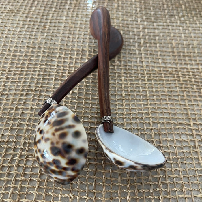 Shell + Wood Spoon