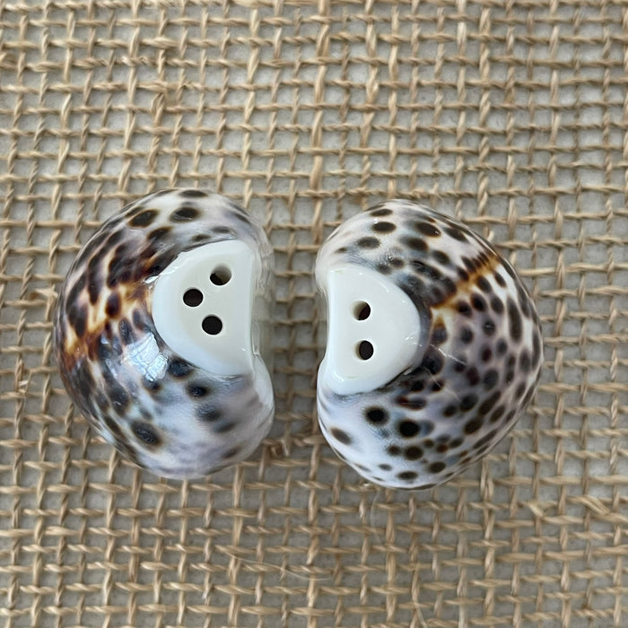 Shell Salt + Pepper Shaker Set