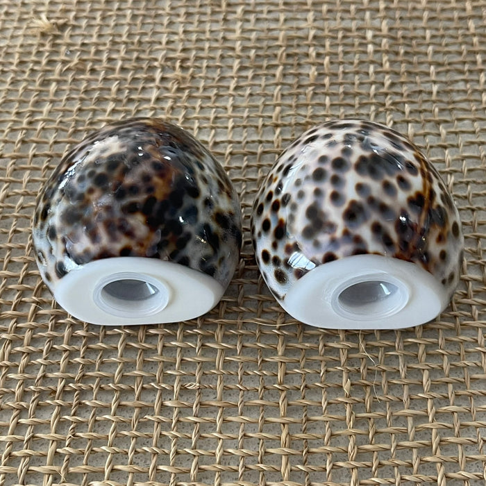 Shell Salt + Pepper Shaker Set