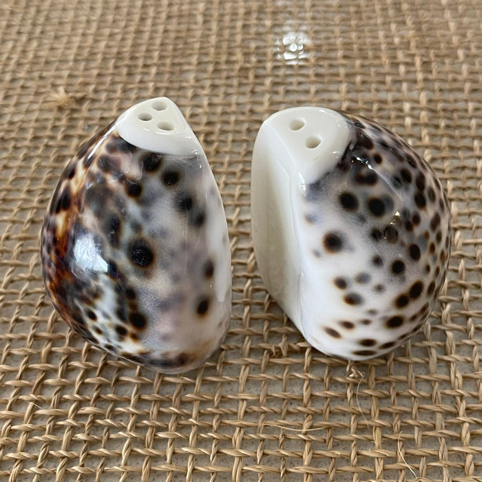 Shell Salt + Pepper Shaker Set