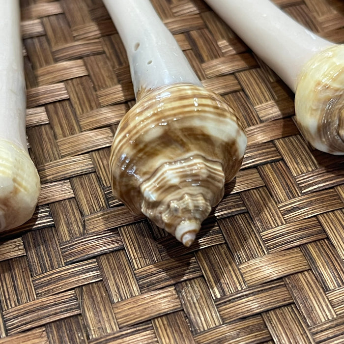 Shell Hair Sticks