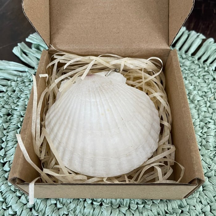 Scallop Shell Notebook - 50 Pages - additional view | Travel & Tide