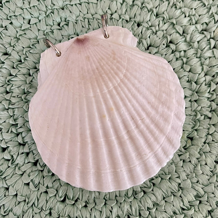 Scallop Shell Notebook - 50 Pages - detail view | Travel & Tide