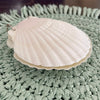 Scallop Shell Notebook - 50 Pages - close up | Travel & Tide