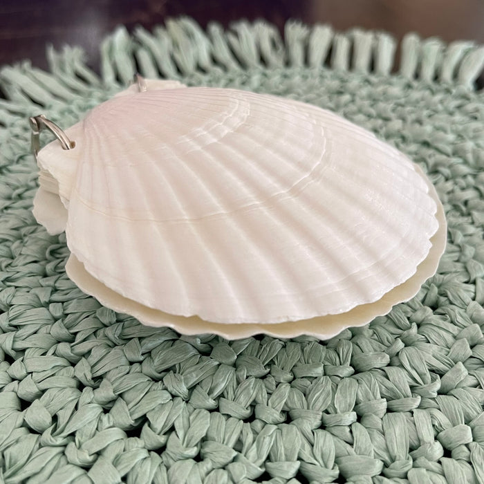 Scallop Shell Notebook - 50 Pages - close up | Travel & Tide