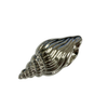Seashell Hair Clips - detail view | Travel & Tide