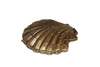 Pewter shell trinket box coastal jewelry storage