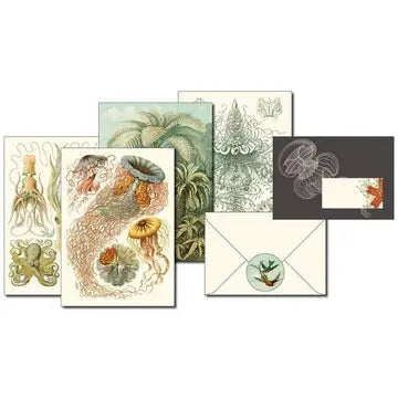 Letter Writing Set - Art Forms in Nature