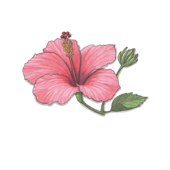 Hibiscus Print