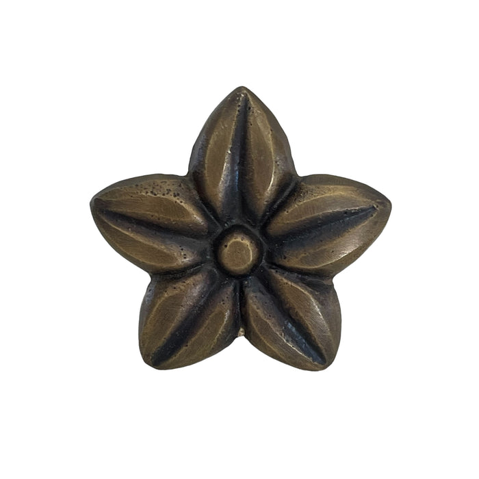 Brass Frangipani Drawer Knob