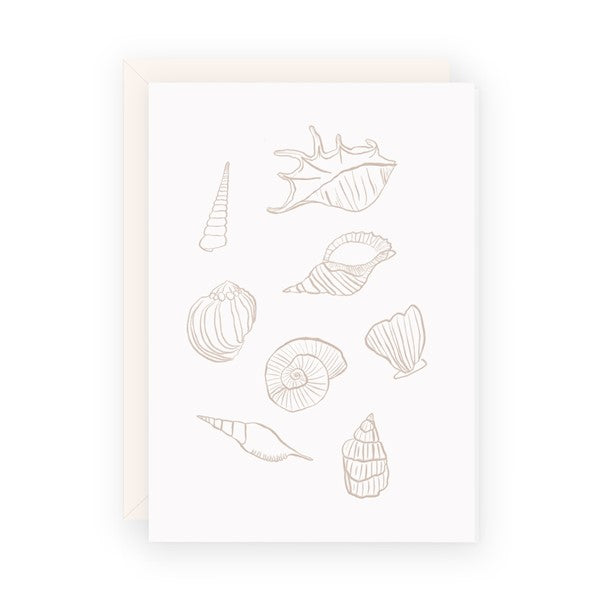 Seashells Greeting Card