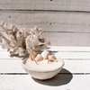 Seashell Pinched Ceramic Soy Candle - close up | Travel & Tide