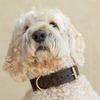 Sumba Collar - Vintage Brown - additional view | Travel & Tide