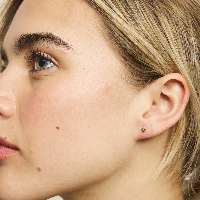 Baby Scallop Shell Stud Earrings - Silver and Gold - close up | Travel & Tide