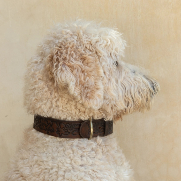 Sumba Collar - Vintage Brown - close up | Travel & Tide