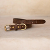 Island collar in vintage brown leather with hand-embossed palm tree design and brass hardware, sustainable dog collar