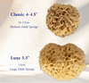 Luxe Bath Sponge - styled shot | Travel & Tide