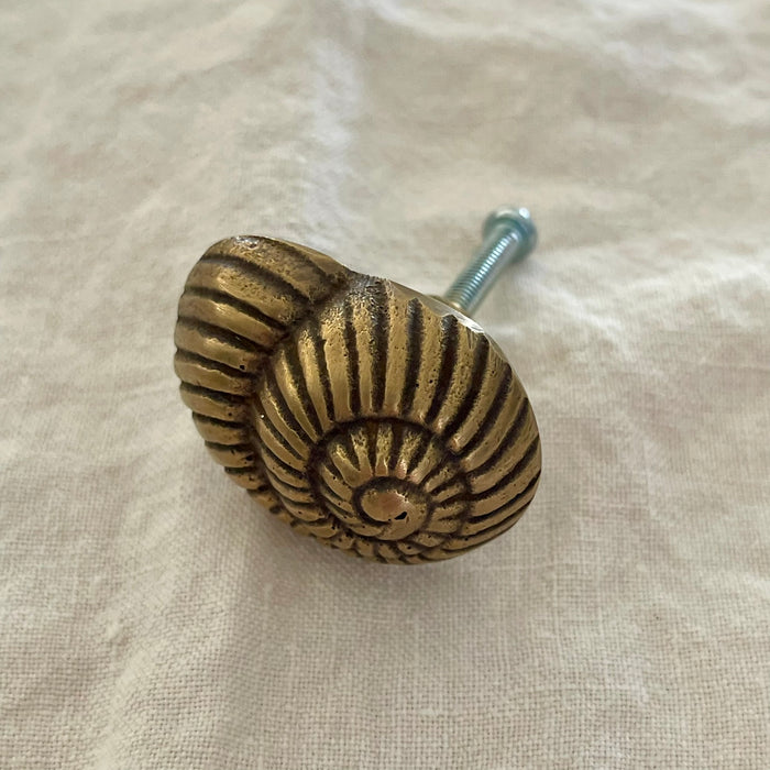 Antique brass nautilus spiral shell drawer knob with deep radiating ridges and aged finish on linen background

