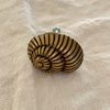 Antique brass nautilus spiral shell drawer knob flat front view showing full spiral detail on linen background
