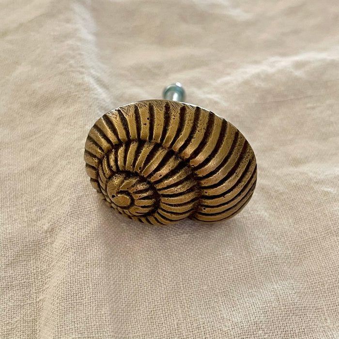 Antique brass nautilus spiral shell drawer knob flat front view showing full spiral detail on linen background

