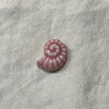 Blush pink ceramic nautilus shell bead on white linen - Travel and Tide Coastal Notions
