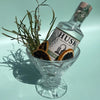 Palm etched cocktail glasses in Clear, Amber and Blue styled together for summer outdoor entertaining
