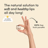Honeybalm coconut SPF 25 lip balm styled flat lay - natural SPF skincare gift idea Travel and Tide
