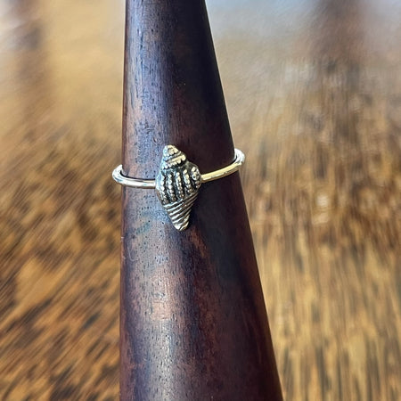 Sterling silver conch shell ring on wooden cone, front view showing textured oxidised shell with ridge and bead detail
