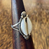 Sterling silver cowrie shell ring on wooden ring cone, front view showing natural cowrie shell with bead surround and scallop motif detail
