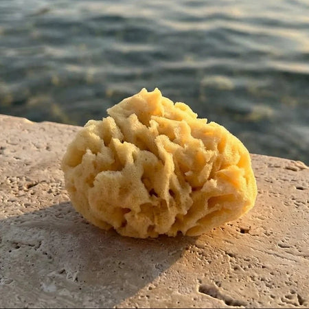The Gentle Sponge - Multi-use - detail view | Travel & Tide