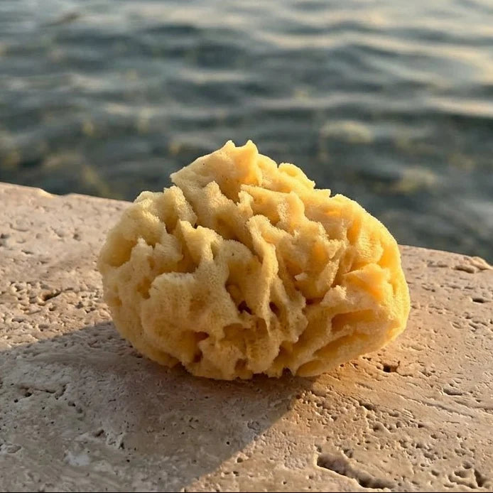 The Gentle Sponge - Multi-use - detail view | Travel & Tide